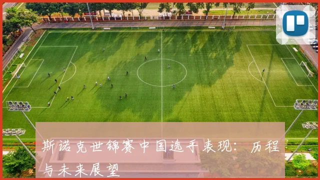 斯诺克世锦赛中国选手表现:历程与未来展望
